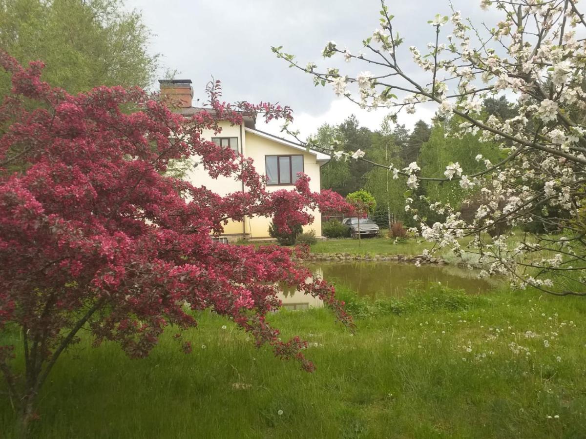 Dreilini  Guest House Pechersky & Sons מראה חיצוני תמונה