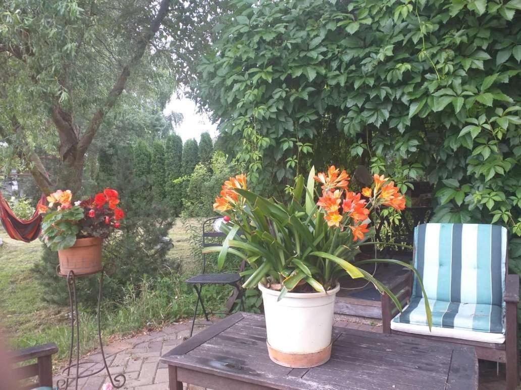 Dreilini  Guest House Pechersky & Sons מראה חיצוני תמונה