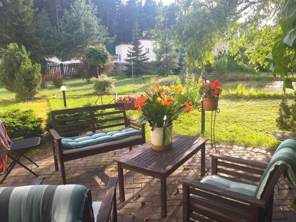 Dreilini  Guest House Pechersky & Sons מראה חיצוני תמונה
