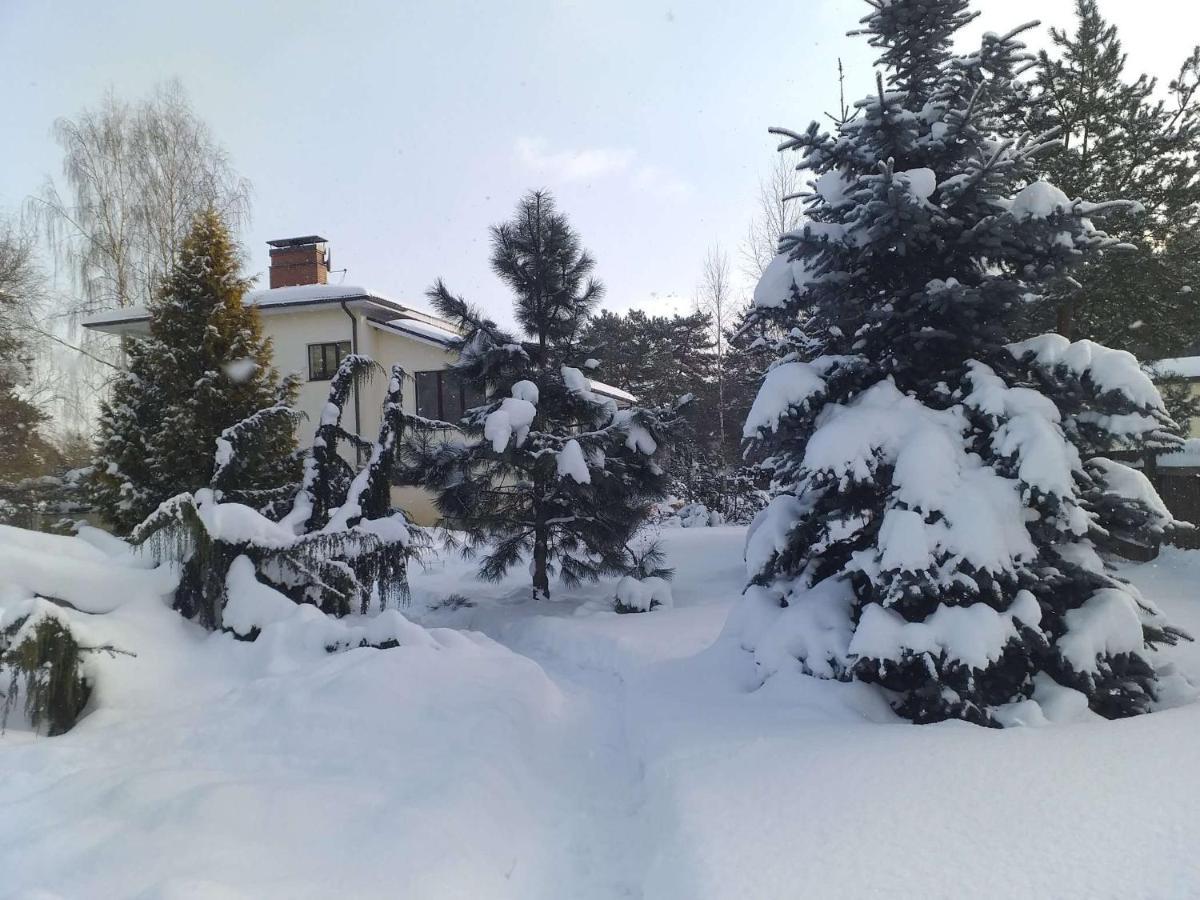Dreilini  Guest House Pechersky & Sons מראה חיצוני תמונה