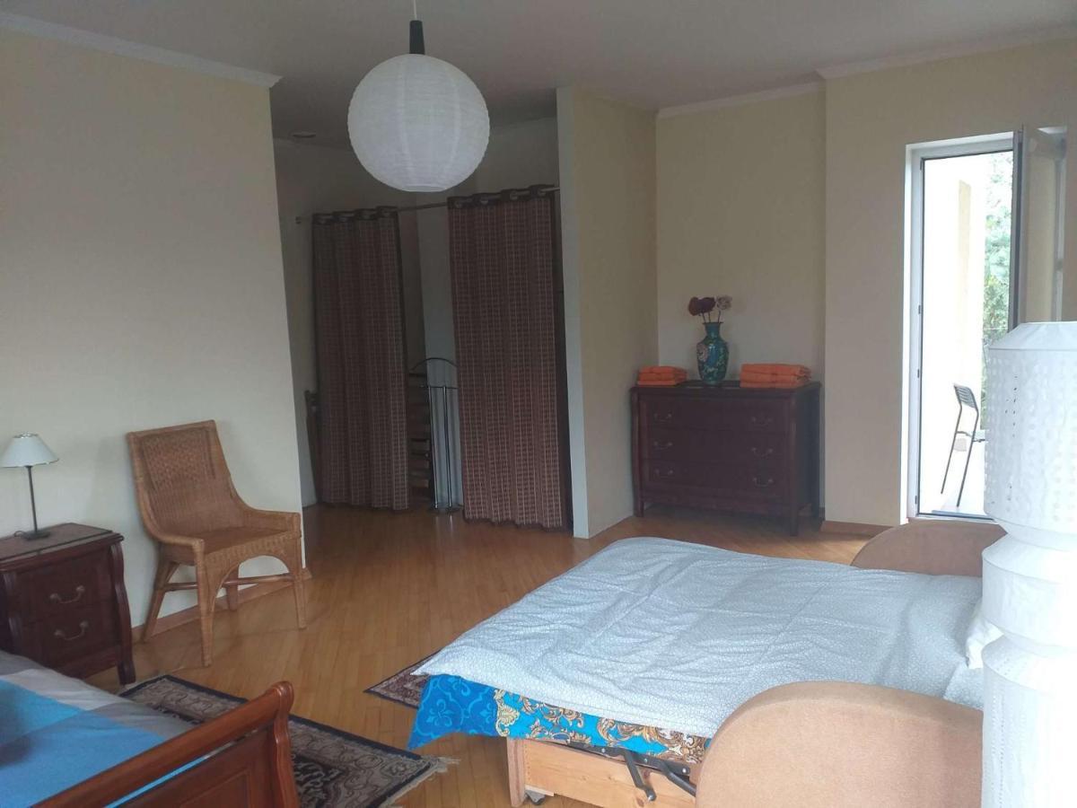 Dreilini  Guest House Pechersky & Sons מראה חיצוני תמונה