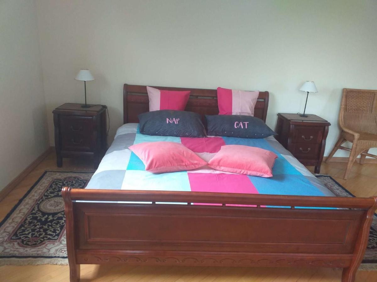 Dreilini  Guest House Pechersky & Sons מראה חיצוני תמונה