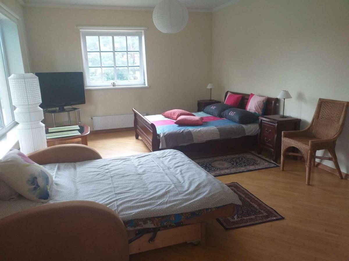 Dreilini  Guest House Pechersky & Sons מראה חיצוני תמונה