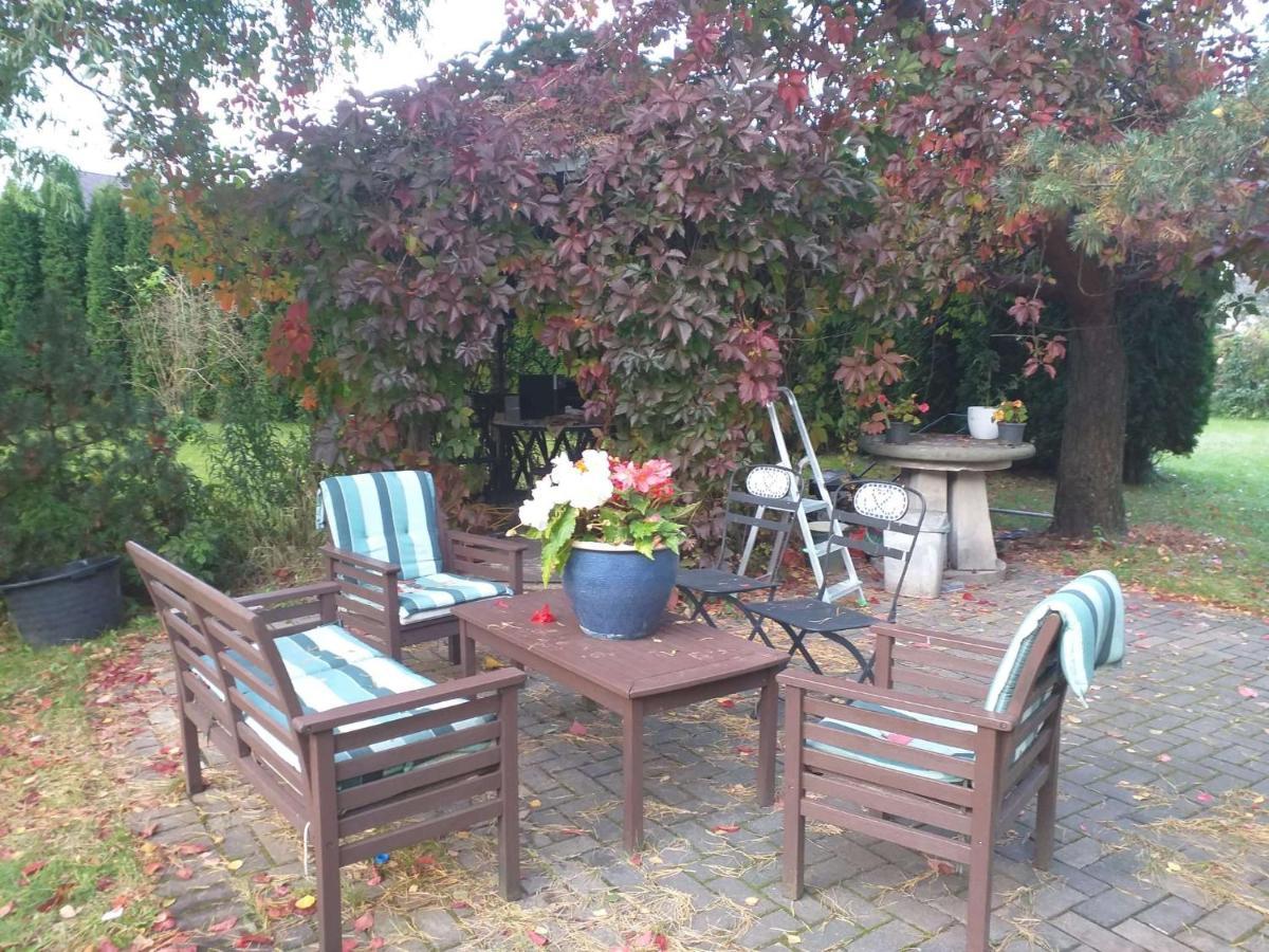 Dreilini  Guest House Pechersky & Sons מראה חיצוני תמונה