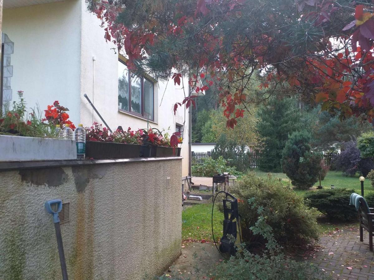 Dreilini  Guest House Pechersky & Sons מראה חיצוני תמונה
