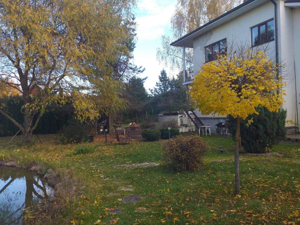 Dreilini  Guest House Pechersky & Sons מראה חיצוני תמונה